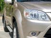 Ford Escape 2011 - Xe màu ghi vàng