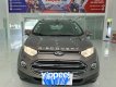 Ford EcoSport 2017 - Xe gia đình
