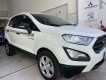 Ford EcoSport 2019 - Xe lướt