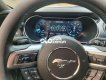 Ford Mustang   Premium Bản Kỉ Niệm 55 years 2020 - Ford Mustang Premium Bản Kỉ Niệm 55 years