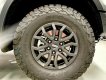 Ford Ranger Raptor 2023 - Giảm tiền mặt giao xe ngay