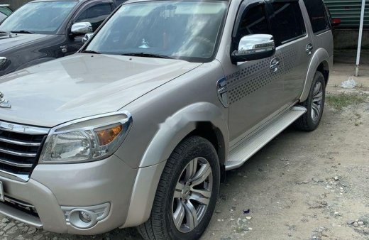 Ford Everest AT 2009 - Cần bán lại xe Ford Everest AT sản xuất 2009, màu bạc, nhập khẩu